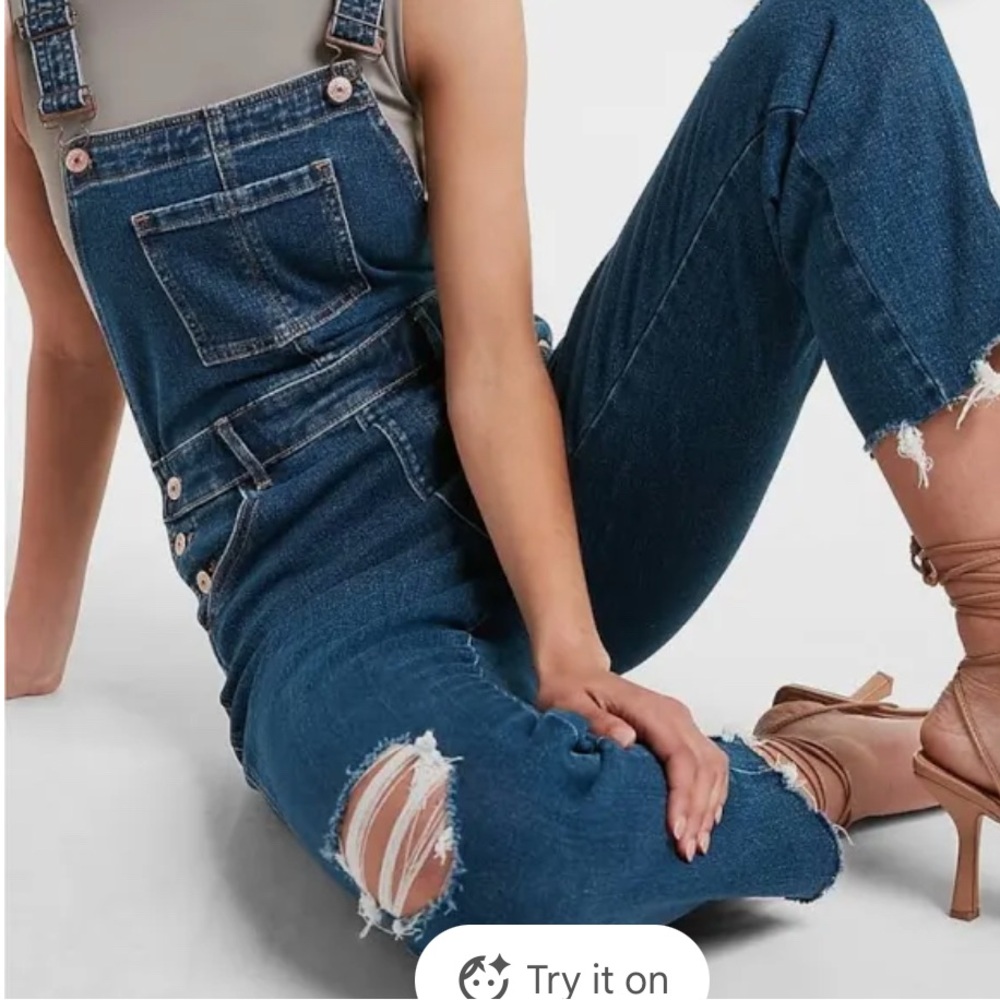 Express Denim Overalls
